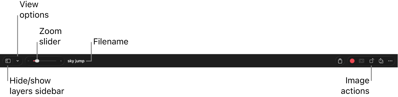 The toolbar at the top of the app window.