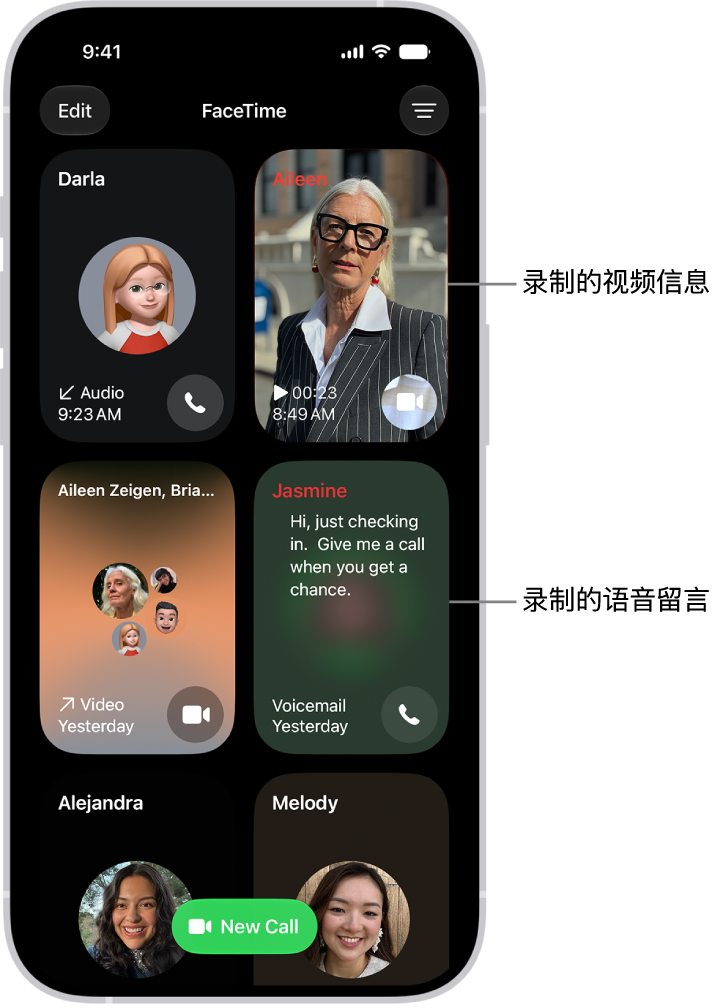 FaceTime 通话记录显示建议的联系人、录制的视频信息、语音留言和 FaceTime 视频群聊。