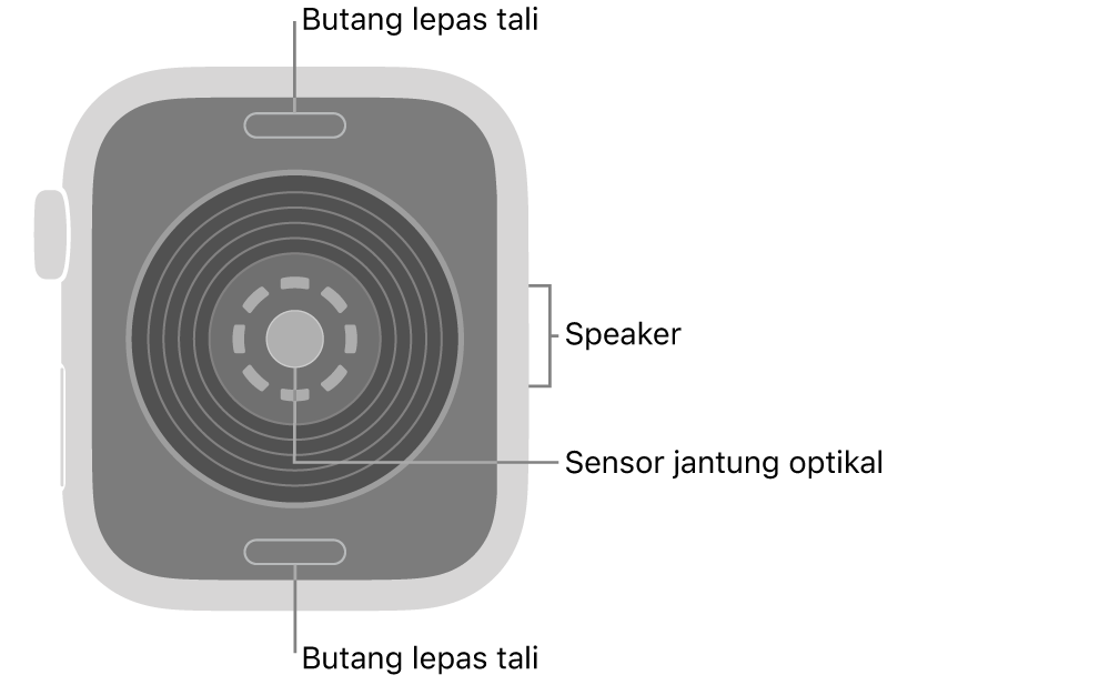Bahagian belakang Apple&nbsp;Watch SE 3, dengan butang lepaskan tali di atas dan bawah, sensor jantung optik di tengah, serta speaker di bahagian sisi.