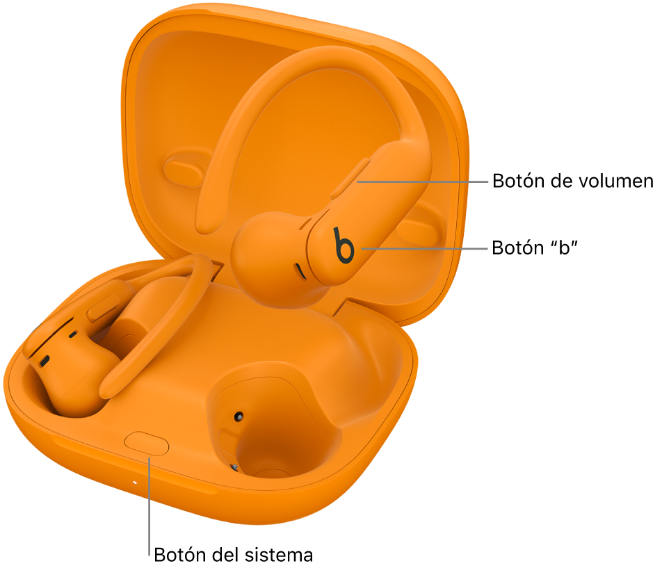 Imagen de los Powerbeats&nbsp;Pro&nbsp;2 que muestra dónde se encuentra el botón “b” de uno de los auriculares y el botón del sistema dentro del estuche de carga.
