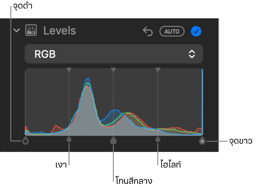 ตัวควบคุมระดับในบานหน้าต่างการปรับที่แสดงฮิสโตแกรม RGB พร้อมขอบจับด้านล่าง ซึ่งประกอบด้วย (จากซ้ายไปขวา) จุดดำ เงา โทนสีกลาง ไฮไลท์ และจุดขาว
