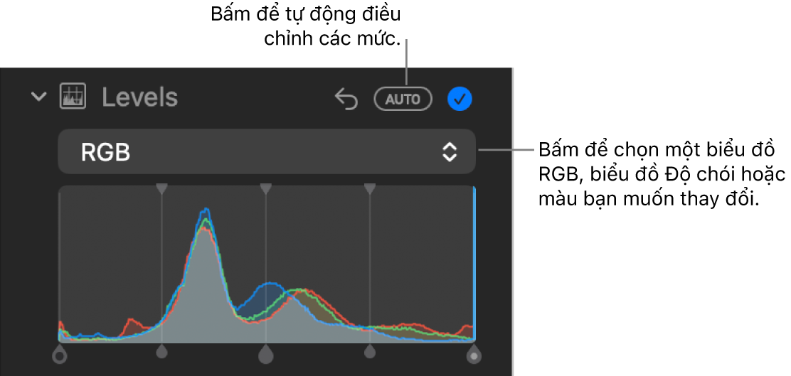 Các điều khiển Mức trong khung Điều chỉnh, với nút Tự động ở trên cùng bên phải và biểu đồ RGB bên dưới.