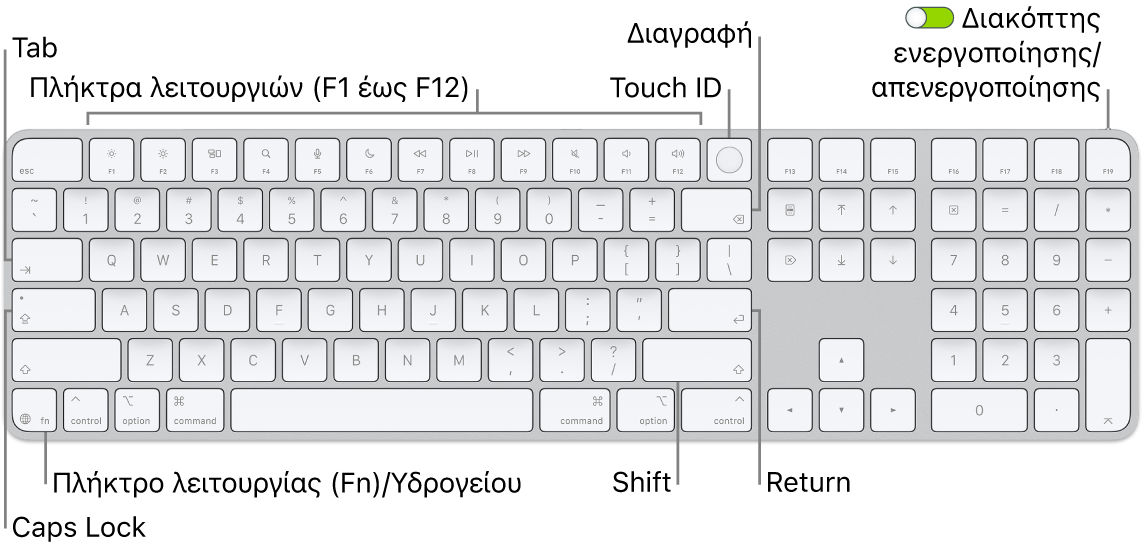 Το Magic Keyboard με Touch ID και αριθμητικό πληκτρολόγιο όπου φαίνονται η σειρά πλήκτρων λειτουργιών και το Touch ID στο πάνω μέρος, και το πλήκτρο Function (Fn)/Υδρογείου στα δεξιά του πλήκτρου Delete.