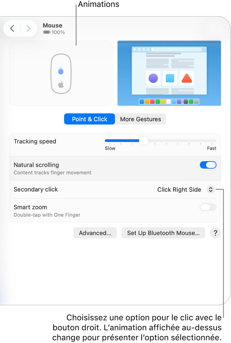 Les options relatives à la souris dans Réglages&nbsp;Système affichant l’option du clic secondaire définie sur «&nbsp;Cliquer du côté droit&nbsp;» et l’animation correspondante.