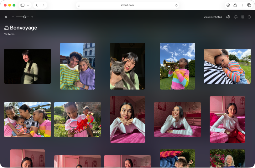 A shared album in Apple Invites on iCloud.com showing photos of dogs.