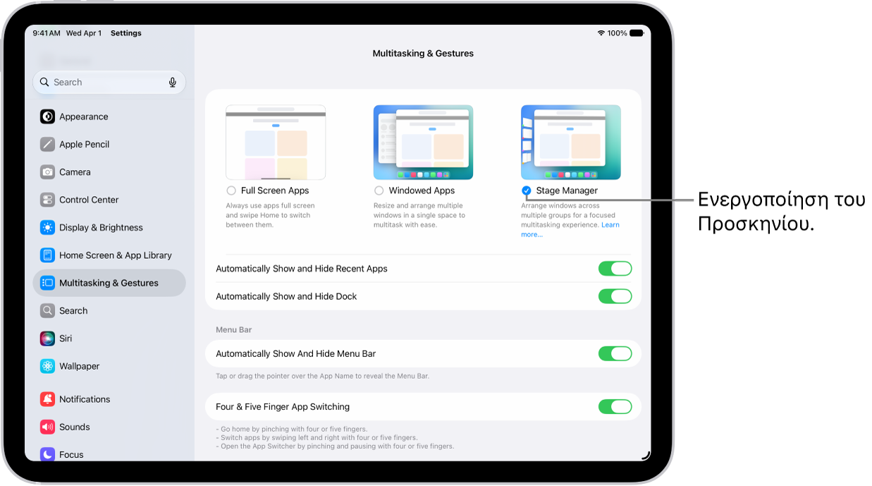 Η εφαρμογή «Ρυθμίσεις iPad», όπου φαίνονται οι επιλογές «Πολυδιεργασία και χειρονομίες» που μπορείτε να επιλέξετε για εργασία σε πολλές εφαρμογές.