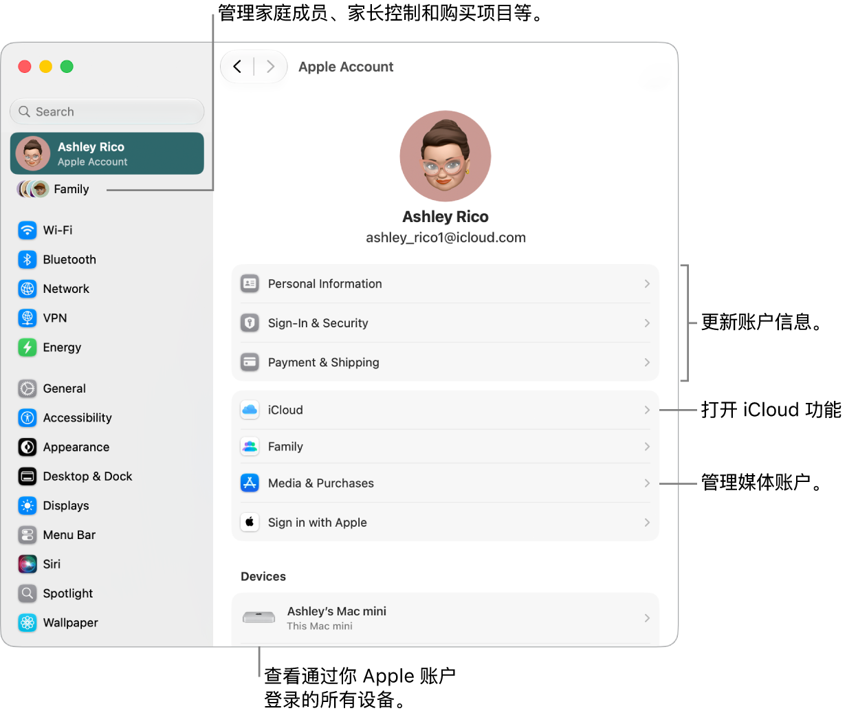 “系统设置”中的“Apple 账户”设置，包含更新账户信息、打开或关闭 iCloud 功能、管理媒体账户和调整“家人共享”设置（可在其中管理家庭成员、家长控制和购买项目等）的标注框。