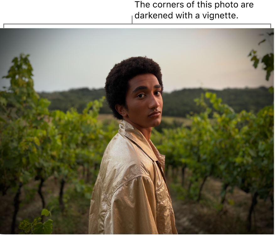 A photo with a vignette applied, showing darkness around the edges.