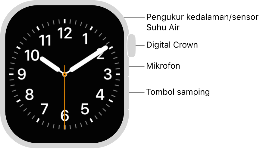 Bagian depan Apple Watch Series 12, dengan layar yang menampilkan wajah jam, dan Digital Crown, mikrofon, dan tombol samping dari bagian atas ke bawah di bagian samping jam.