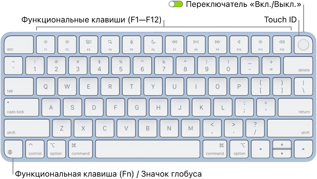 Клавиатура Magic Keyboard с сенсором Touch ID. Показаны функциональные клавиши, сенсор Touch ID вверху и клавиша Function (Fn)&nbsp;/ глобуса в левом нижнем углу.