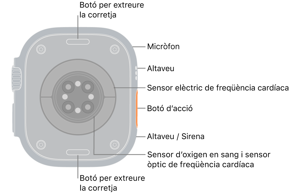 La part posterior de l’Apple&nbsp;Watch&nbsp;Ultra&nbsp;3 amb els botons per obrir la corretja a dalt i a baix. Al lateral hi ha un micròfon, un altaveu, el sensor elèctric de freqüència cardíaca, el botó d’acció, un port d’altaveu des del qual emet sons la sirena, els sensors d’oxigen en sang i els sensors òptics cardíacs.