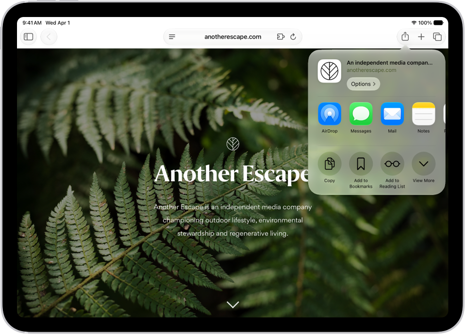 An open webpage. The Share button has been tapped, showing options for AirDrop, Messages, Mail, Notes, Copy, Add to Bookmarks, Add to Reading List, and More.