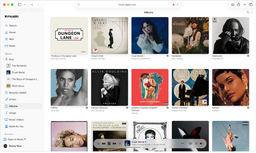 The Apple Music window in Safari with a library of multiple albums.