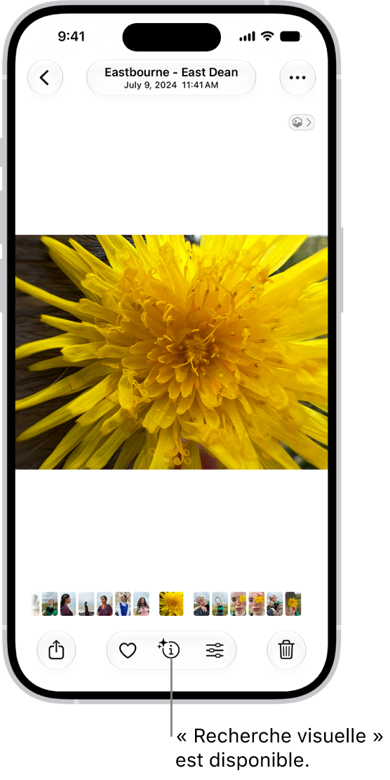 Une photo est ouverte dans l’app Photos. En bas de l’écran, le bouton Infos affiche une icône indiquant que des informations «&nbsp;Recherche visuelle&nbsp;» sont disponibles.