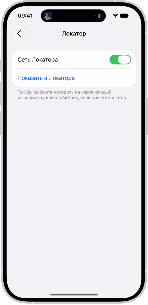 В&nbsp;разделе настроек Bluetooth на&nbsp;iPhone отображаются настройки AirPods&nbsp;Pro. Включен параметр «Сеть Локатора», который позволяет просматривать геопозицию AirPods на&nbsp;карте в&nbsp;случае их&nbsp;потери.