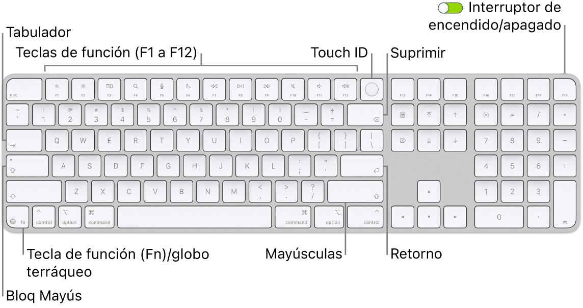 El Magic&nbsp;Keyboard con Touch&nbsp;ID y teclado numérico, con la fila de teclas de función y el sensor Touch&nbsp;ID en la parte superior y la tecla de función (Fn)/globo terráqueo a la derecha de la tecla Suprimir.