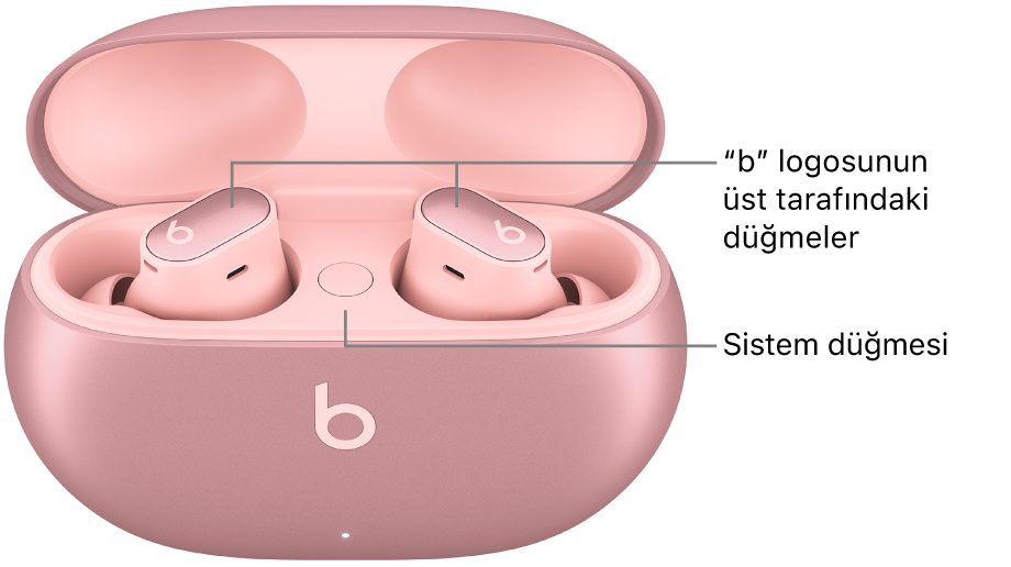 Kulaklıklardaki “b” logosunun üst tarafında bulunan düğmelerin konumunu ve şarj kutusunun içinde sistem düğmesinin konumunu gösteren Beats Studio&nbsp;Buds&nbsp;+ görüntüsü.