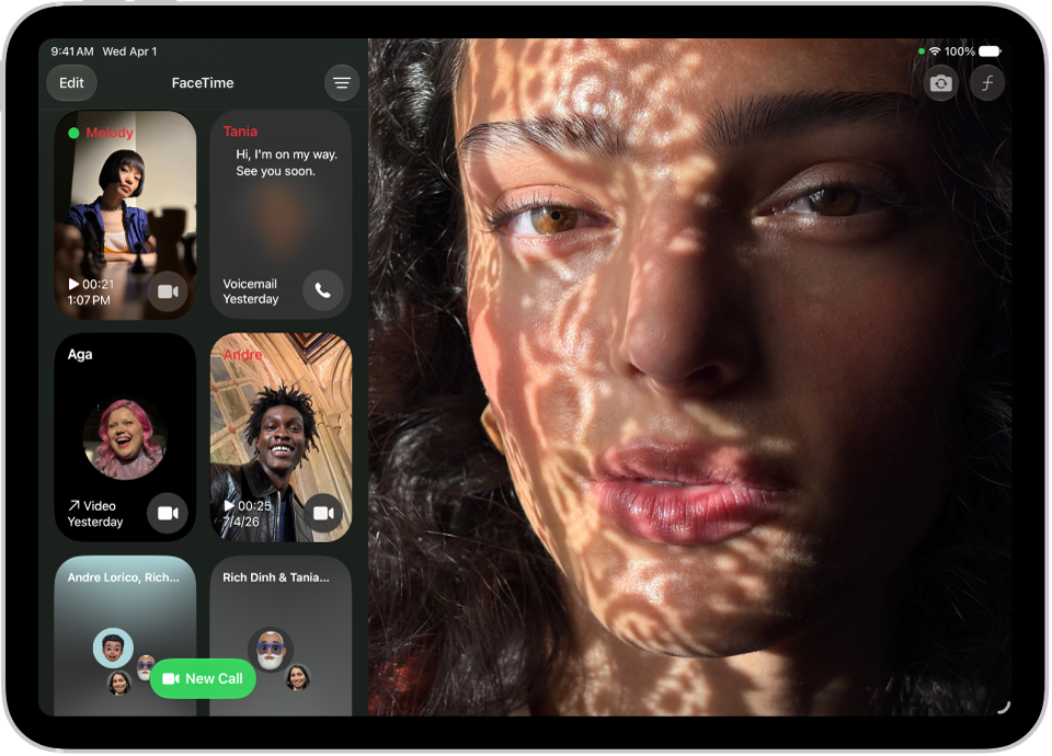 The FaceTime call history, showing a Group FaceTime call, an audio call, a video message, an audio message, and a link to a FaceTime call.