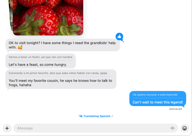 A Messages app window showing a conversation being translated from Spanish to English.