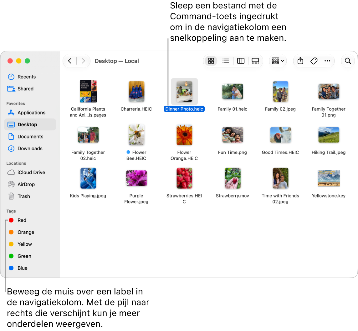 Rechts van 'Locaties' in de Finder-navigatiekolom kun je op een pijl klikken om meer onderdelen weer te geven. In het Finder-venster aan de rechterkant is een bestand geselecteerd en in de navigatiekolom zie je onder 'Favorieten' een snelkoppeling naar het bestand.