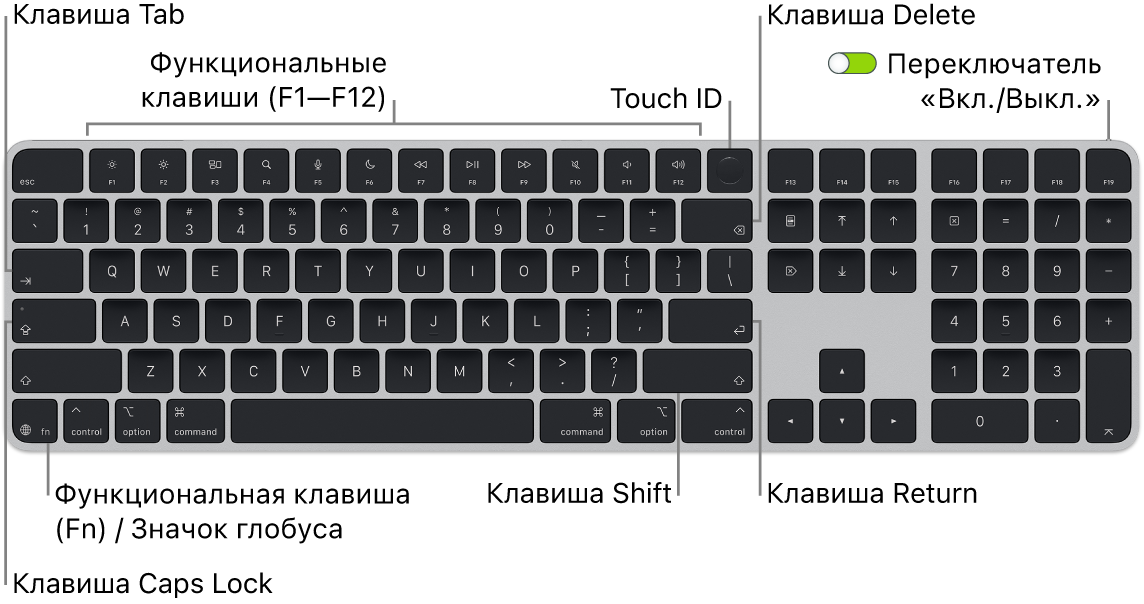 Клавиатура Magic&nbsp;Keyboard с&nbsp;сенсором Touch&nbsp;ID и&nbsp;цифровой клавишной панелью. Показаны функциональные клавиши, сенсор Touch&nbsp;ID вверху и&nbsp;клавиша Function (Fn)/клавиша с&nbsp;изображением глобуса внизу слева.