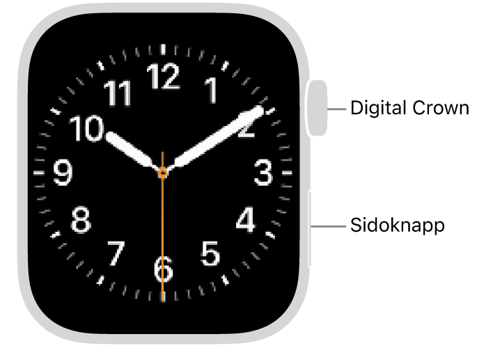 Framsidan på Apple Watch med Digital Crown överst på högra sidan av klockan och sidoknappen till höger nedtill.