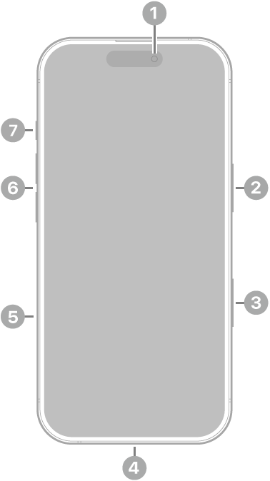 Vista frontale di iPhone&nbsp;17. In alto al centro è presente la fotocamera anteriore. Sul lato destro è presente il tasto laterale. In basso è presente il connettore USB-C. Sul lato sinistro, dal basso verso l’alto, sono presenti l’alloggiamento per la SIM, i tasti per il volume e il tasto Azione.