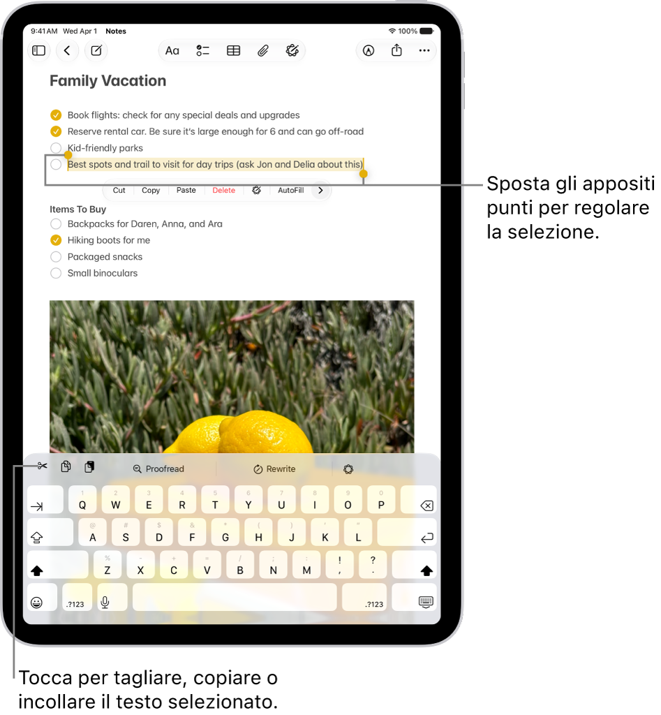 Nell’app Note, un testo è selezionato in una nota. Sopra il testo selezionato viene mostrato un menu in cui sono visualizzati diversi pulsanti, tra cui Taglia, Copia e Incolla. Il testo selezionato è evidenziato, con punti di trascinamento su ciascun lato che possono essere trascinati per regolare la selezione.