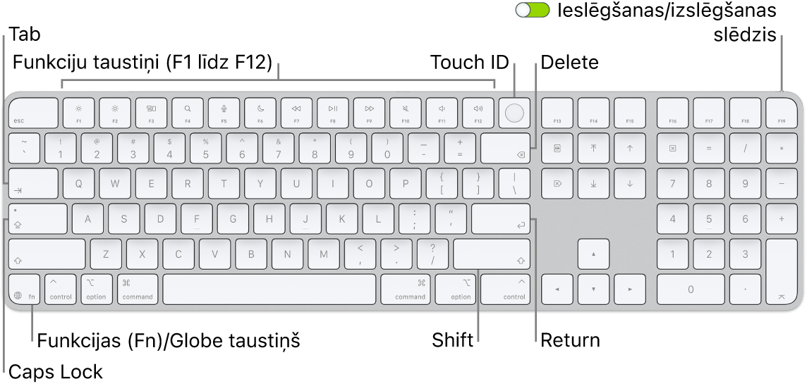 Tastatūra Magic Keyboard ar Touch&nbsp;ID un ciparu tastatūra, kam augšdaļā redzama funkciju taustiņu rinda un Touch&nbsp;ID, bet apakšā pa kreisi&nbsp;— taustiņš Function (Fn)/Globe pa labi no taustiņa Delete.