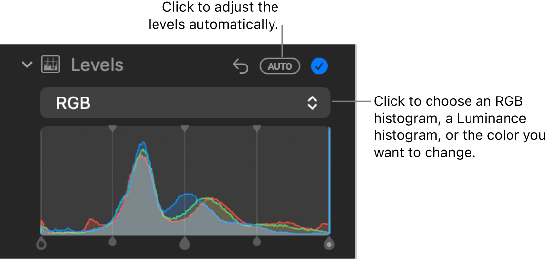 The Levels controls in the Adjust pane, with the Auto button at the top right and the RGB histogram below.