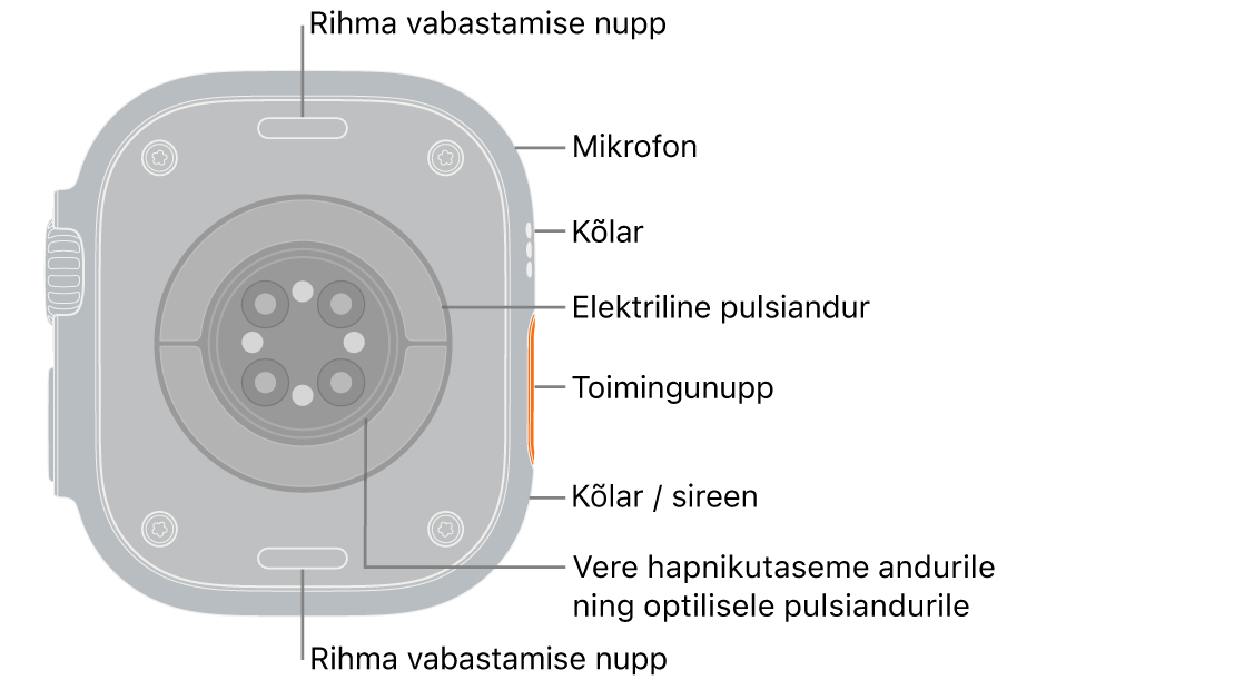 Apple&nbsp;Watch&nbsp;Ultra 3 tagakülg, kus üleval ja all on rihma vabastusnupud. Külje peal on mikrofon, kõlar, elektriline südameandur, toimingunupp, sireeni kõlariport, verehapniku andur ning optiline südameandur.