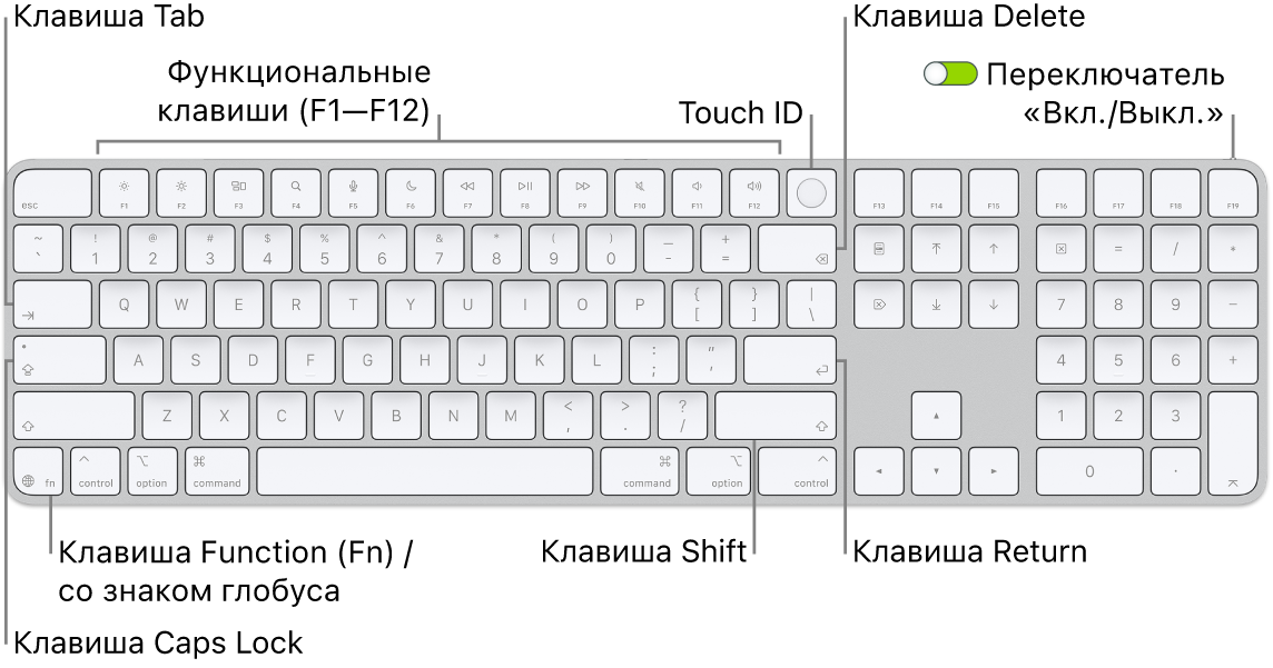 Клавиатура Magic&nbsp;Keyboard с&nbsp;сенсором Touch&nbsp;ID и&nbsp;цифровой клавишной панелью. Показаны функциональные клавиши, сенсор Touch&nbsp;ID вверху и&nbsp;клавиша Function (Fn)&nbsp;/ глобуса справа от&nbsp;клавиши Delete.