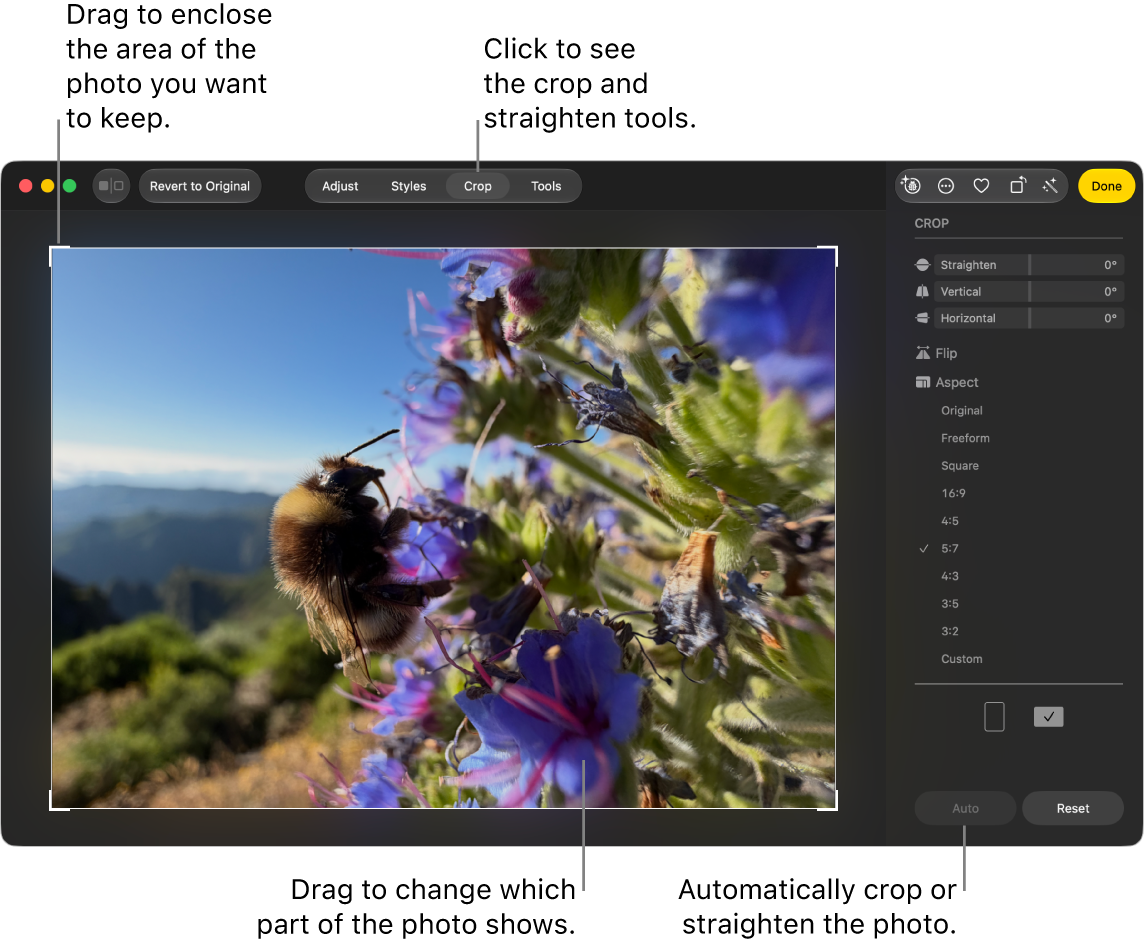 A photo in editing view, with Crop selected in the toolbar, a selection rectangle around the photo, and straightening sliders, aspect ratio options, and Auto and Reset buttons on the right.