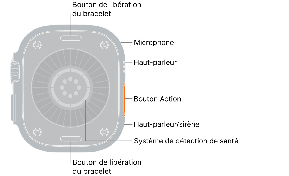 L’arrière de l’Apple&nbsp;Watch&nbsp;Ultra&nbsp;4, avec les boutons de retrait du bracelet en haut et en bas. Sur le côté se trouvent un micro, un haut-parleur, un système de détection de santé, le bouton Action et un port de haut-parleur dédié à la sirène.