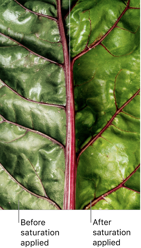 A close-up photo of a green leaf with a before-and-after view of the saturation adjustment.