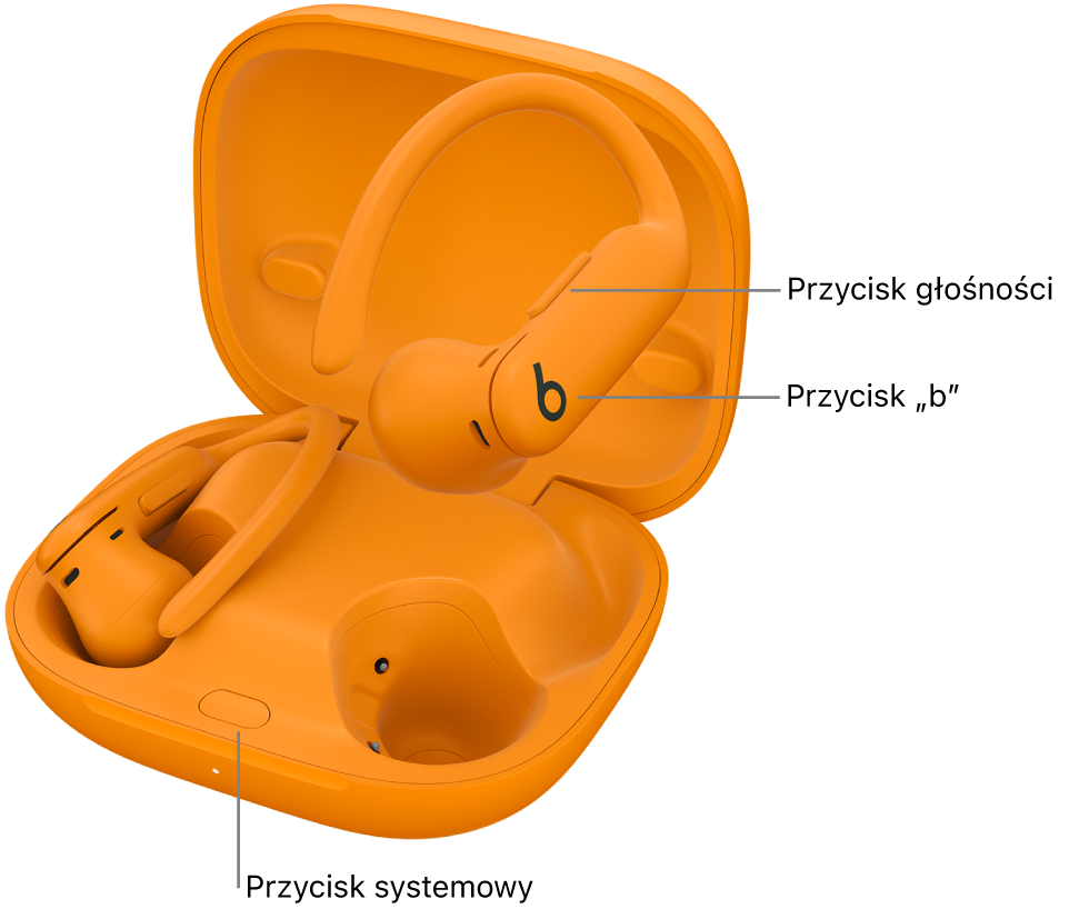 Ilustracja przedstawiająca położenie przycisku „b” na słuchawkach Powerbeats&nbsp;Pro&nbsp;2 oraz położenie przycisku systemowego wewnątrz etui ładującego.