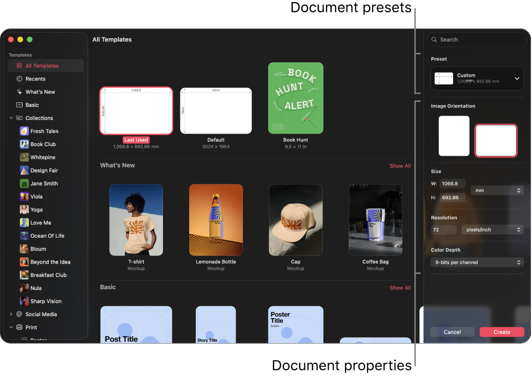 The document browser.