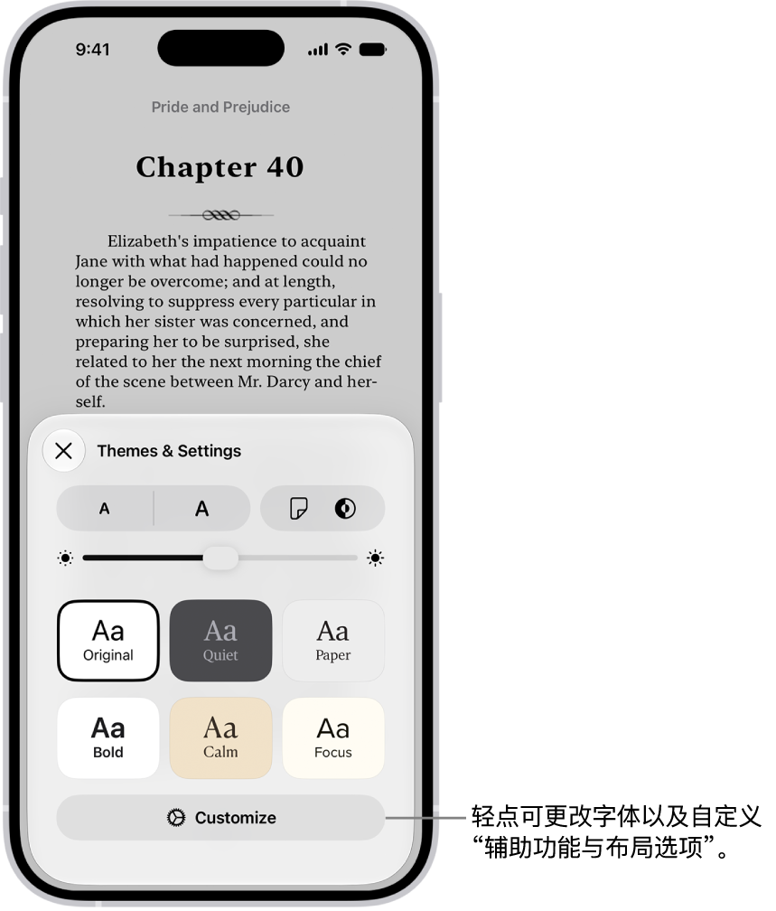 “图书” App 中的图书页面。“主题与设置”选项显示字体大小、滚动视图、翻页样式、亮度和字体样式的控制。