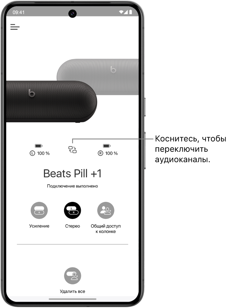 На&nbsp;экране устройства в&nbsp;приложении Beats показаны две подключенные колонки Beats&nbsp;Pill в&nbsp;режиме «Стерео» и&nbsp;кнопка для&nbsp;переключения аудиоканалов.