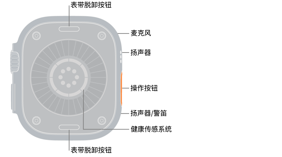 Apple&nbsp;Watch&nbsp;Ultra 4 的背面，顶部和底部是表带脱卸按钮。 侧边是麦克风、扬声器、健康传感系统、操作按钮和警笛发声位置的扬声器端口。