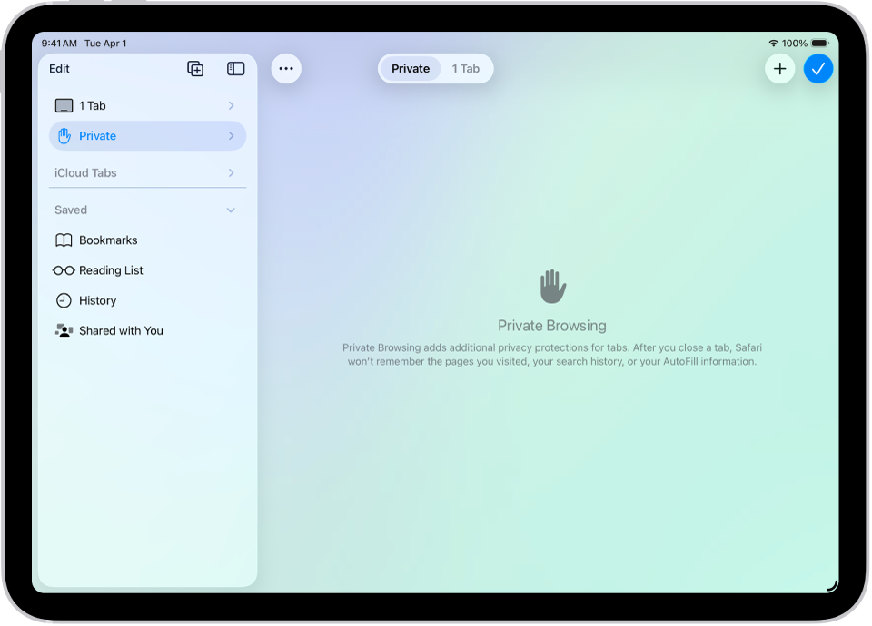 The Safari sidebar on the left side of the Safari window is open, with Private selected. On the right is an explanation that Safari won’t remember your browsing.