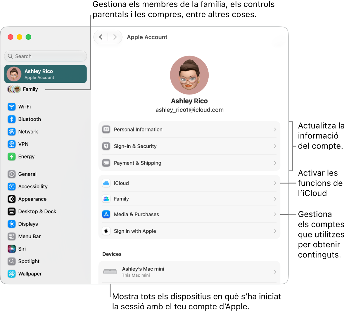 A la configuració del sistema, es veu la secció del compte d’Apple, amb opcions per actualitzar la informació del compte, activar o desactivar les funcions de l’iCloud, administrar els comptes de contingut multimèdia i ajustar la configuració d’“En&nbsp;família”, on pots gestionar els membres de la família, els controls parentals i les compres, entre altres coses.