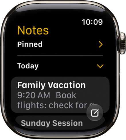 A list of notes with pinned notes at the top.
