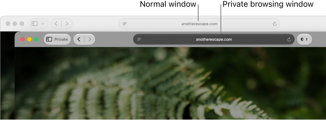 A private Safari window with its dark Smart Search field, and a normal Safari window with its light Smart Search field.