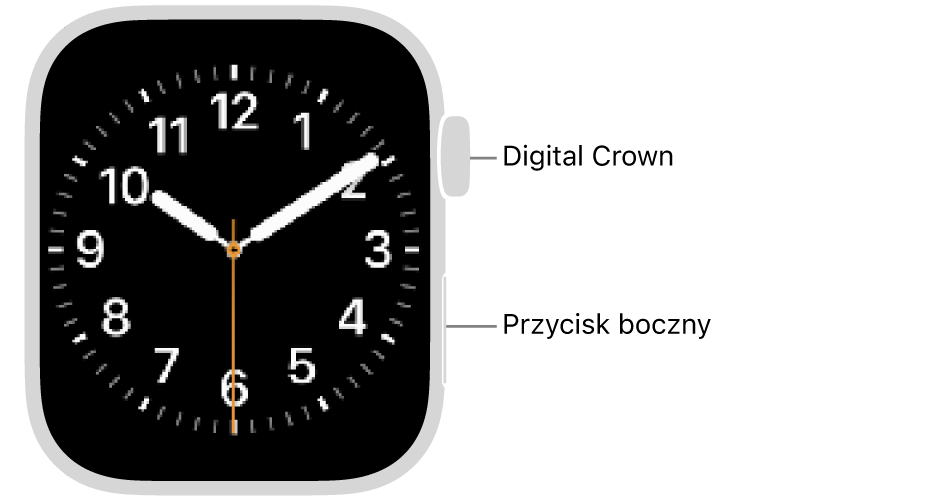 Apple&nbsp;Watch widziany z&nbsp;przodu. Digital&nbsp;Crown znajduje się u&nbsp;góry po prawej stronie zegarka, a&nbsp;przycisk boczny&nbsp;— na dole po prawej.