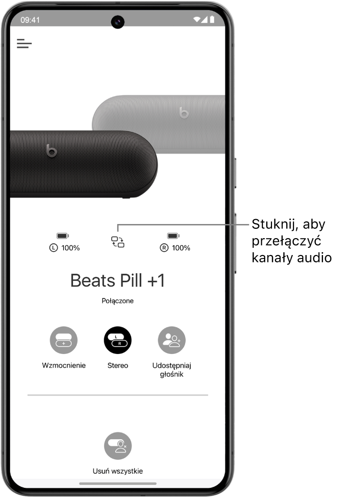 Ekran urządzenia w&nbsp;aplikacji Beats wyświetlający dwa połączone głośniki Beats Pill tworzące grupę stereo. Widoczny jest przycisk umożliwiający zmianę kanałów audio.