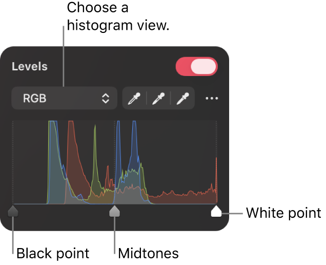 Levels controls in the Color Adjustments pane, including a histogram and handles for adjusting tonal values.