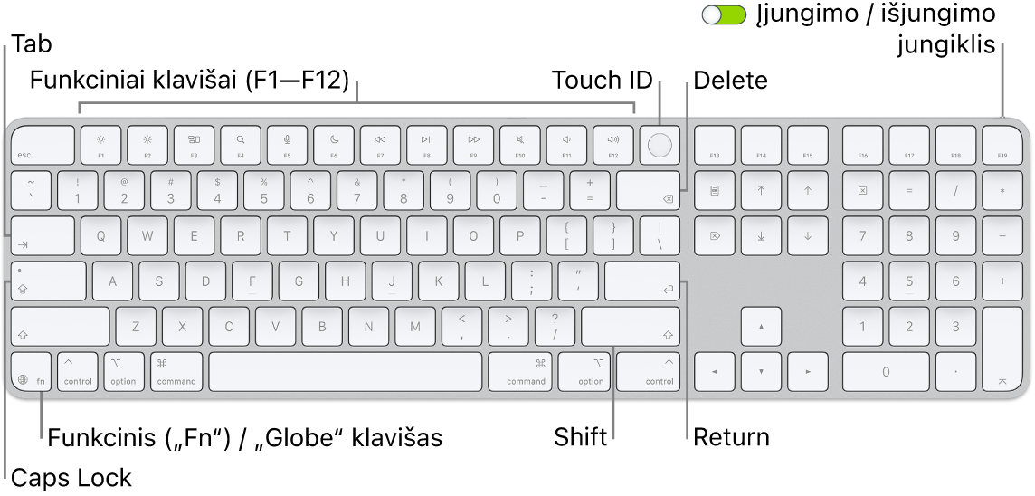 „Magic&nbsp;Keyboard“ su „Touch ID“ ir skaitmenų klaviatūra, viršuje matosi funkcinių klavišų eilė, „Touch ID“, o klavišo „Delete“ dešinėje&nbsp;– klavišas „Function“ („Fn“)&nbsp;/ „Globe“.