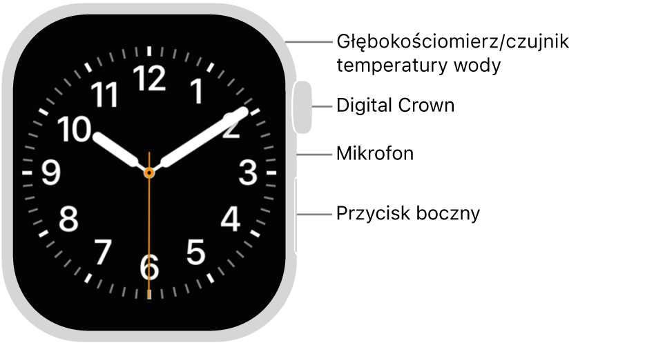 Apple&nbsp;Watch Series&nbsp;12 widziany z&nbsp;przodu. Na ekranie wyświetlana jest tarcza zegarka. Z&nbsp;boku, od góry, znajdują się: Digital Crown, mikrofon oraz przycisk boczny.