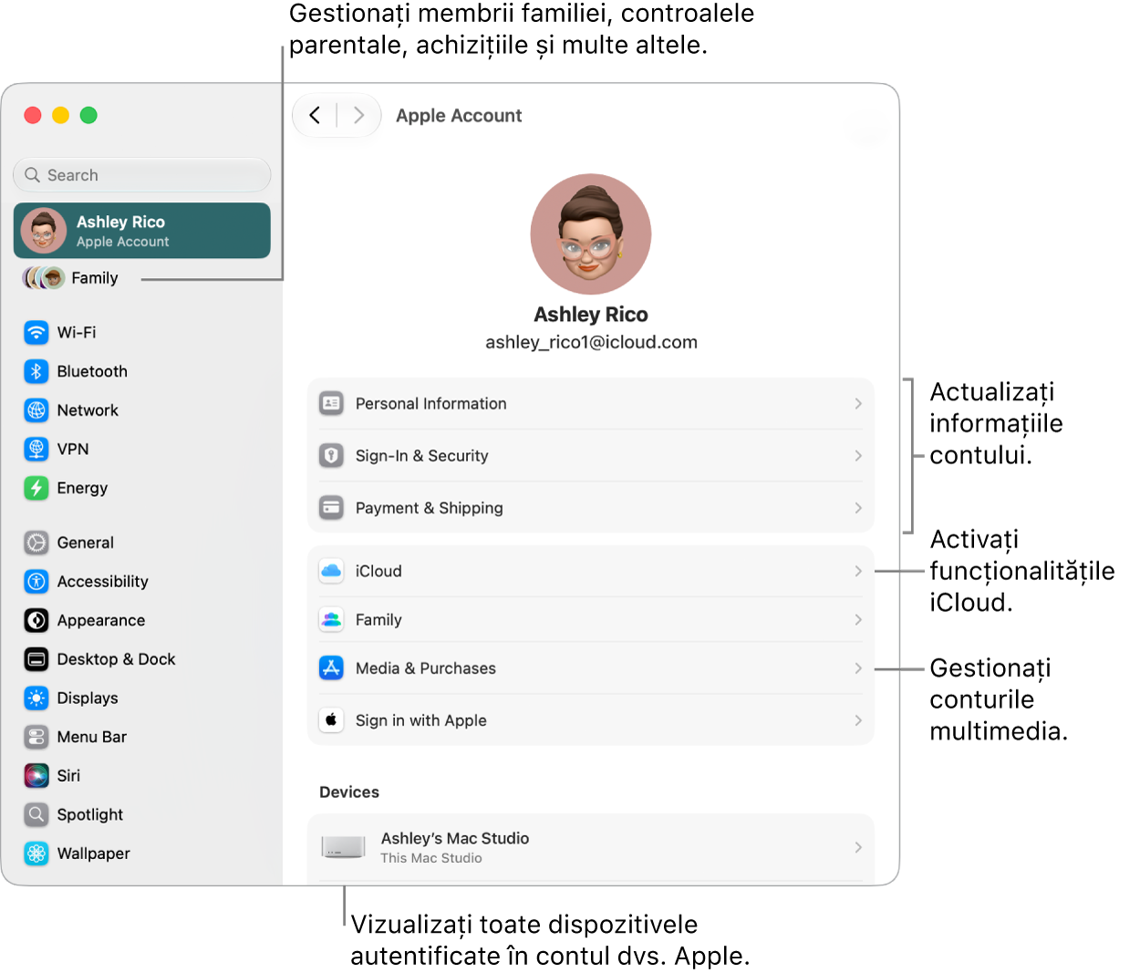 Configurările contului Apple din Configurări sistem cu explicații pentru actualizarea informațiilor contului dvs., activarea sau dezactivarea funcționalităților iCloud, gestionarea conturilor multimedia și ajustarea configurărilor Familie, unde puteți gestiona membrii familiei, controalele parentale, cumpărăturile și altele.